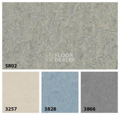 Forbo Marmoleum Decibel on Order 580235 alpine mist фото 3 | FLOORDEALER